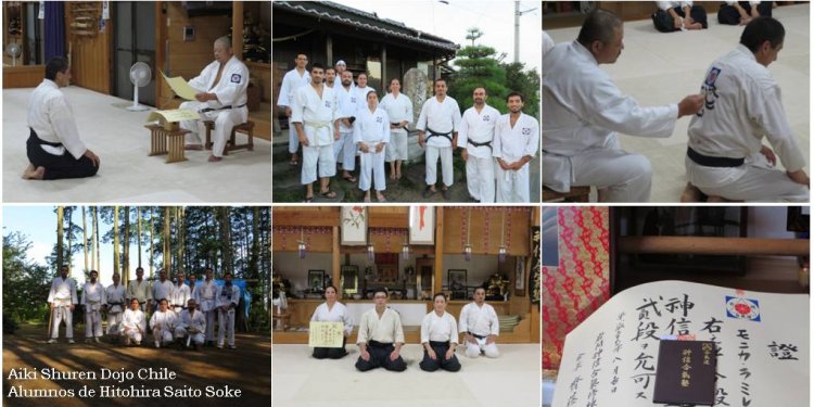 Representante Aikido Iwama Ryu