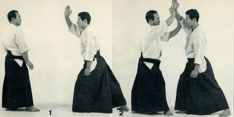 “The Origins of Modern Aikido: