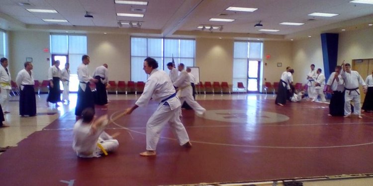 Eishinkan Aikido Delaware.