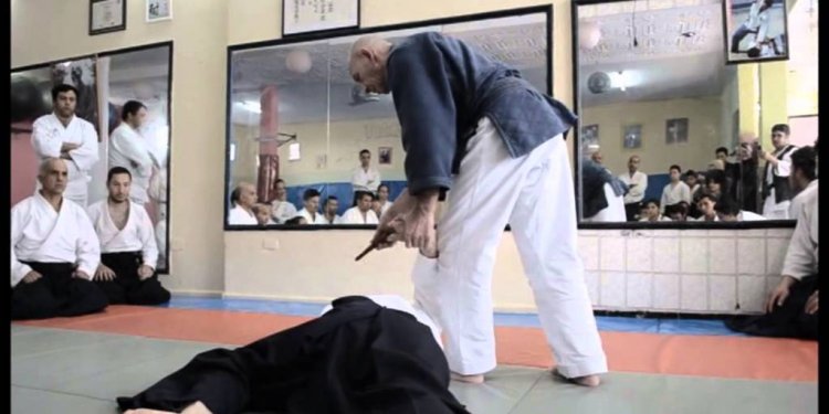 Extrait stage aikido avec Nebi