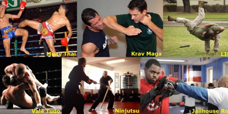 Most dangerous martial arts