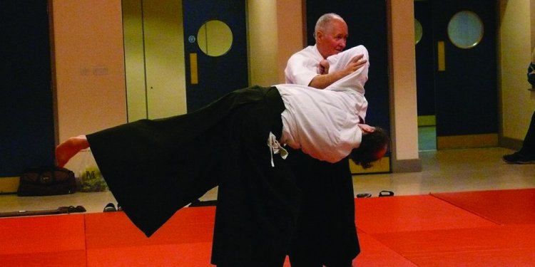 Aikido is a very refined