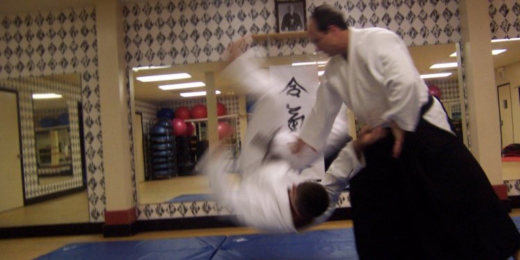 Aikido fight