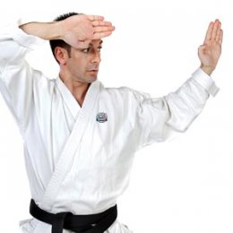 Adult Karate