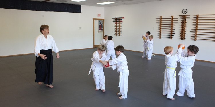 Aikido for children