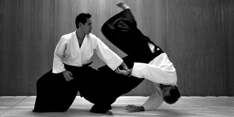Aikido real life