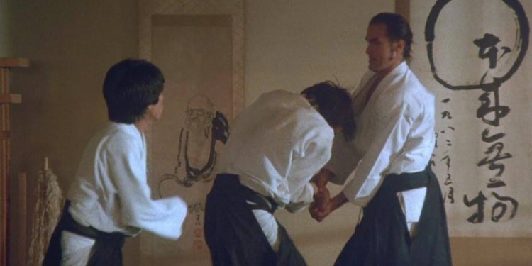 Aikido Seagal