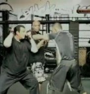 Anderson and Steven Seagal