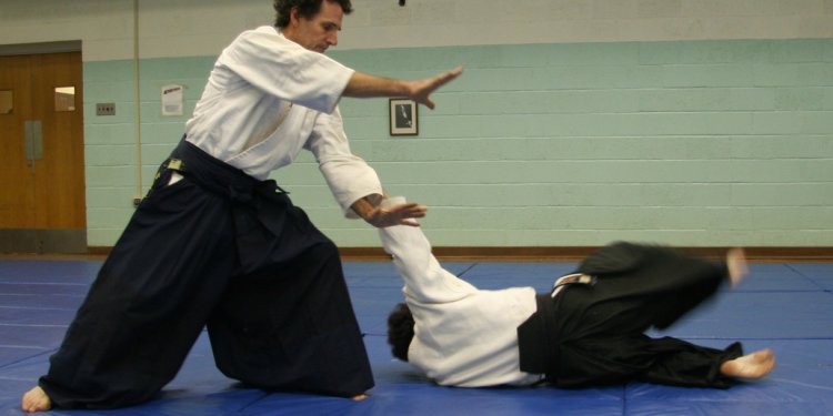 Japanese martial Art, Aikido