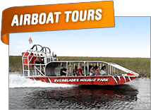 Everglades Airboat Tour and Everglades Airboat Ride