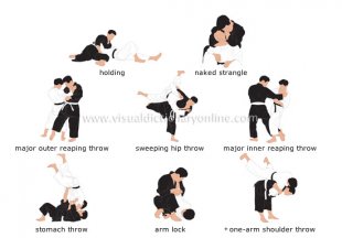 examples of holds and throws image examples of holds and throws