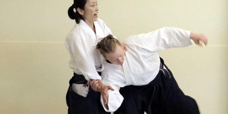 Aikido Sensei