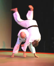 judo