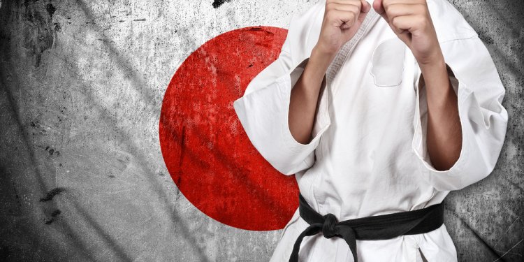 Japanese Jujitsu schools