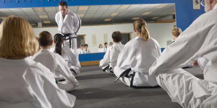 most popular martial arts in usa