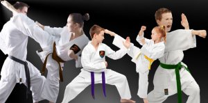 Martial Arts School Bellevue