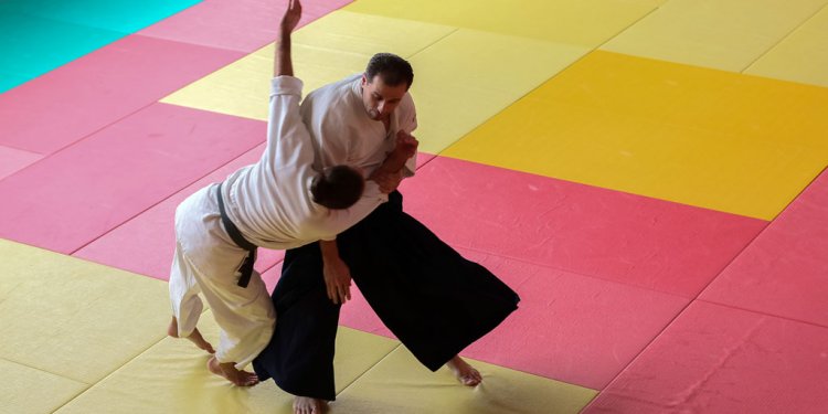 How to Learn Aikido?