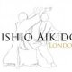 Advanced Aikido