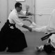 Aikido Class New York