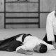 Aikido in Florida