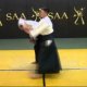 Aikido instructional videos