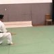 Aikido jo techniques