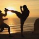 Chinese martial arts VS Japanese martial arts