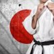 Japanese Jujitsu schools