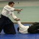 Japanese martial Art, Aikido