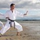 What is the Martial Arts?