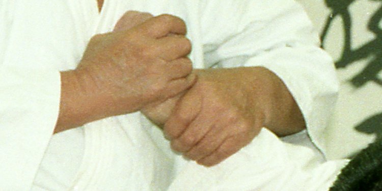 Aikido wrist locks