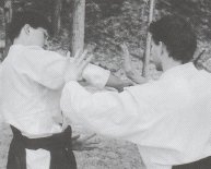 Advanced Aikido techniques