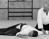 Aikido in Florida