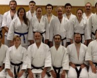 Aikido training