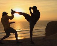 Chinese martial arts VS Japanese martial arts