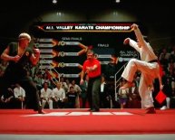 Define Karate