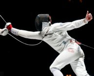 Fencing Martial Arts