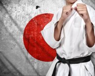 Japanese Jujitsu schools