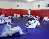 Jiu Jitsu fighting techniques
