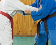 Karate VS Jujitsu