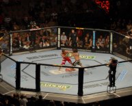 Mixed Martial Arts Wiki