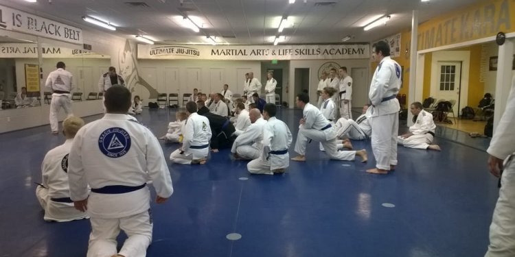 Karate and Jiu Jitsu